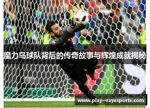 魔力鸟球队背后的传奇故事与辉煌成就揭秘 魔力鸟球队背后的传奇故事与辉煌成就揭秘